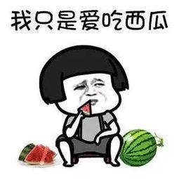 娱乐吃瓜音乐叫什么来着